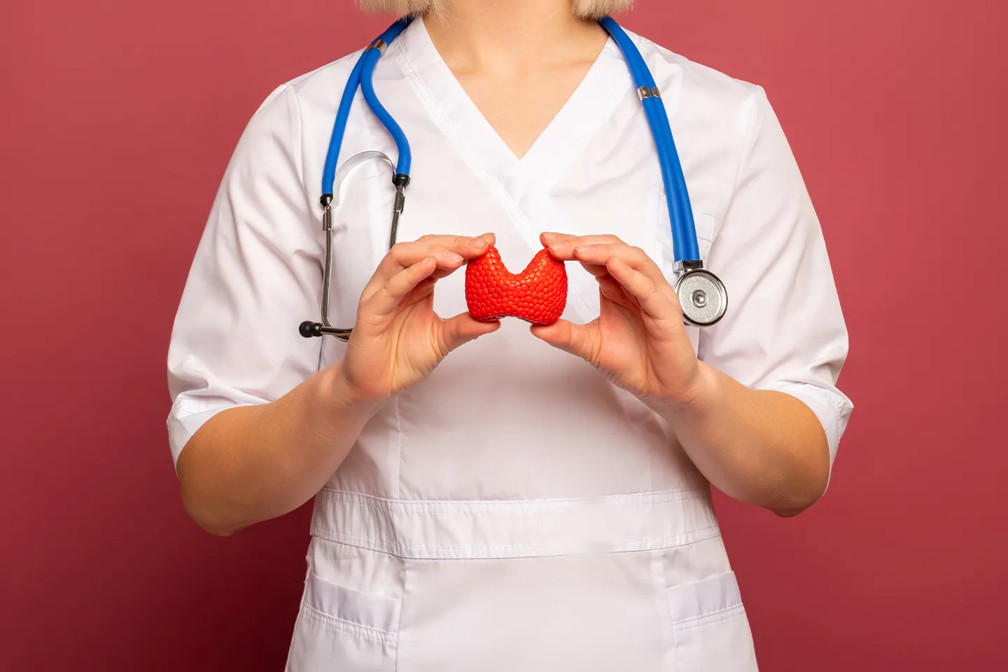 Thyroid Gland Hormone Balance Illustration