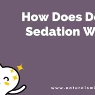 How Does Dental Sedation Work?