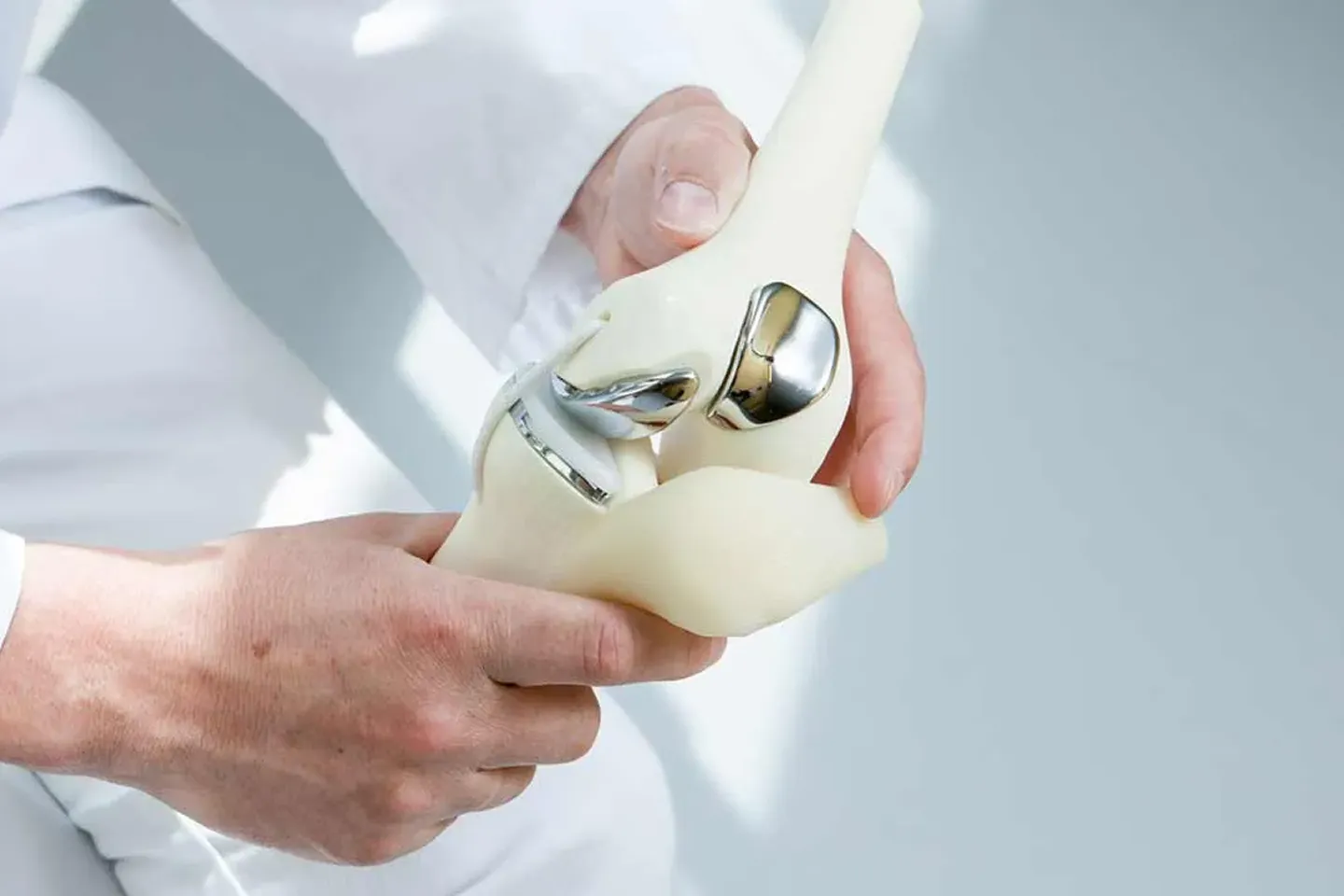 ACL and Meniscus Rehabilitation