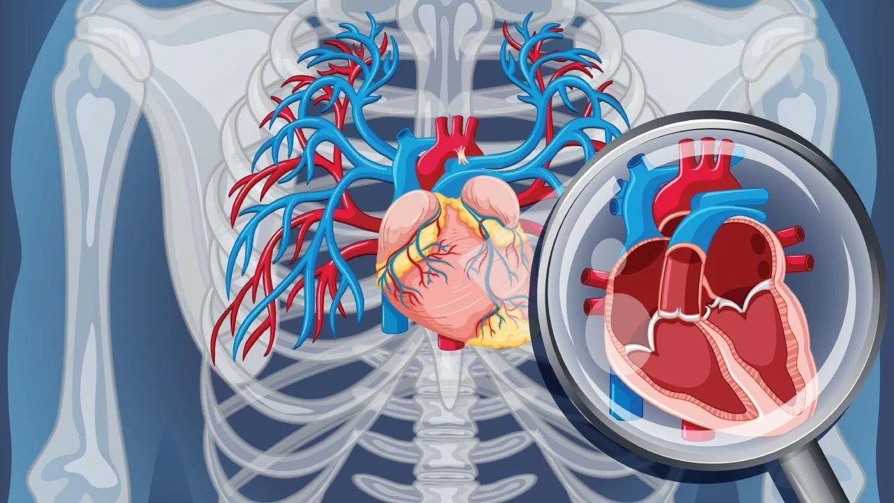 Cardiologist explaining CT coronary angiography and conventional angiography to a patient using heart imaging