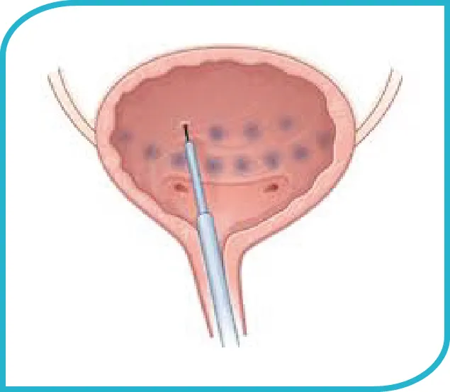 General Dentistry
