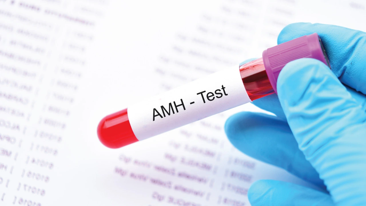 amh test fertility concept icon