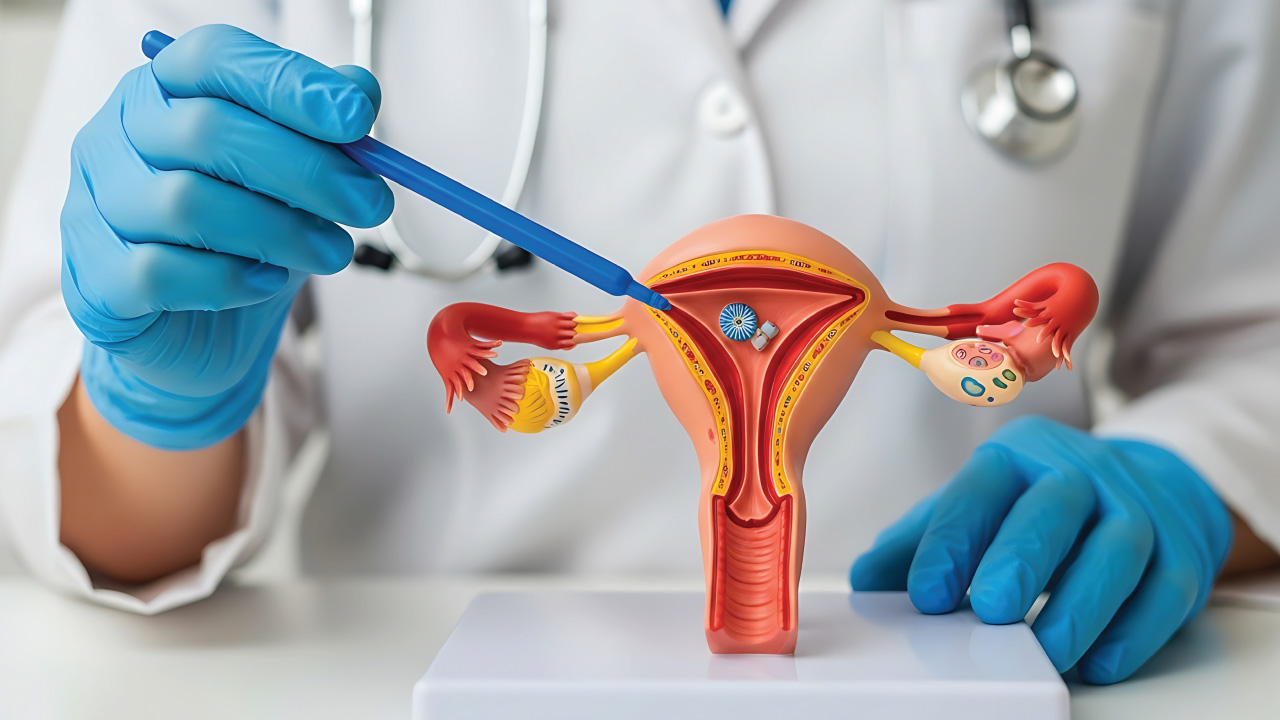 Patient consulting gynecologist about heavy or irregular bleeding.