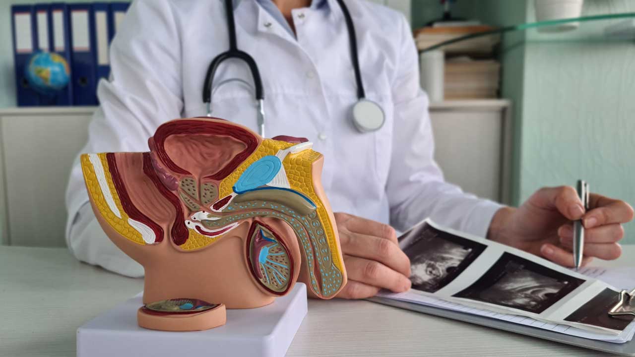 Prostate Exams Explained – What Every Man Should Know