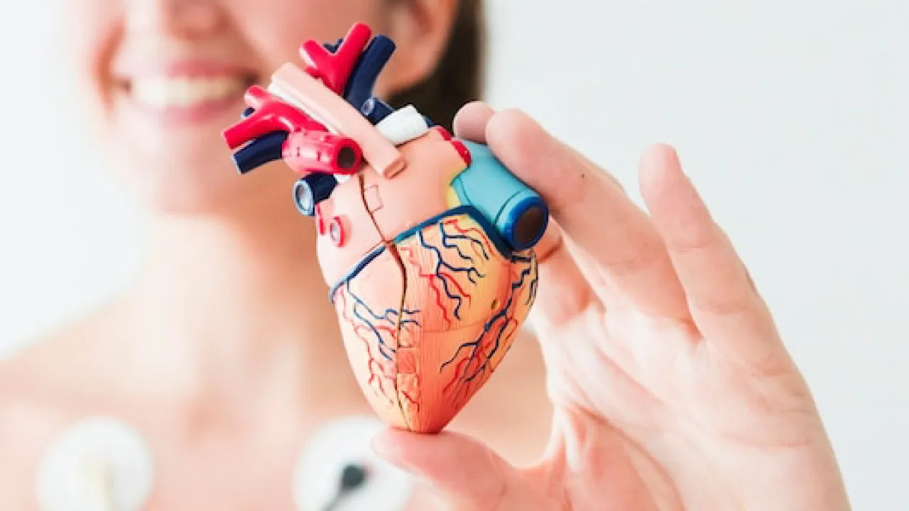 Cardiologist explaining pacemaker implantation and heart rhythm management to a patient