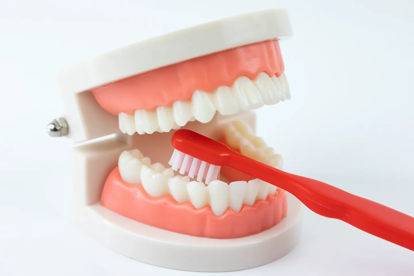 Brushing Techniques for Cleaner & Healthier Teeth