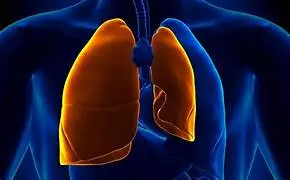 Everything You Need to Know About Pneumothorax: Diagnosis & Treatment
