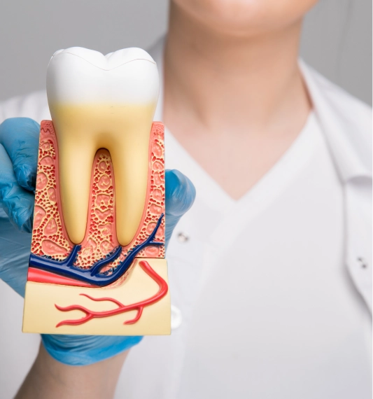 Understanding Root Canal Retreatment