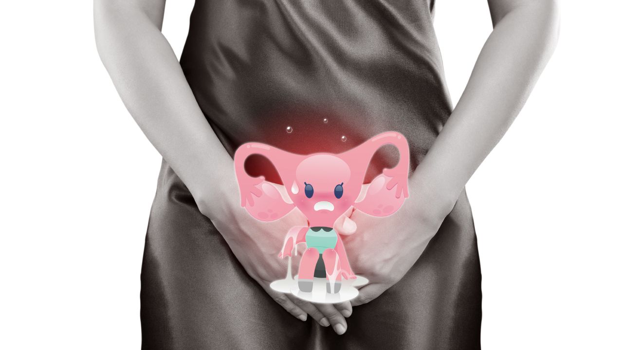 Female Pelvic Health Illustration