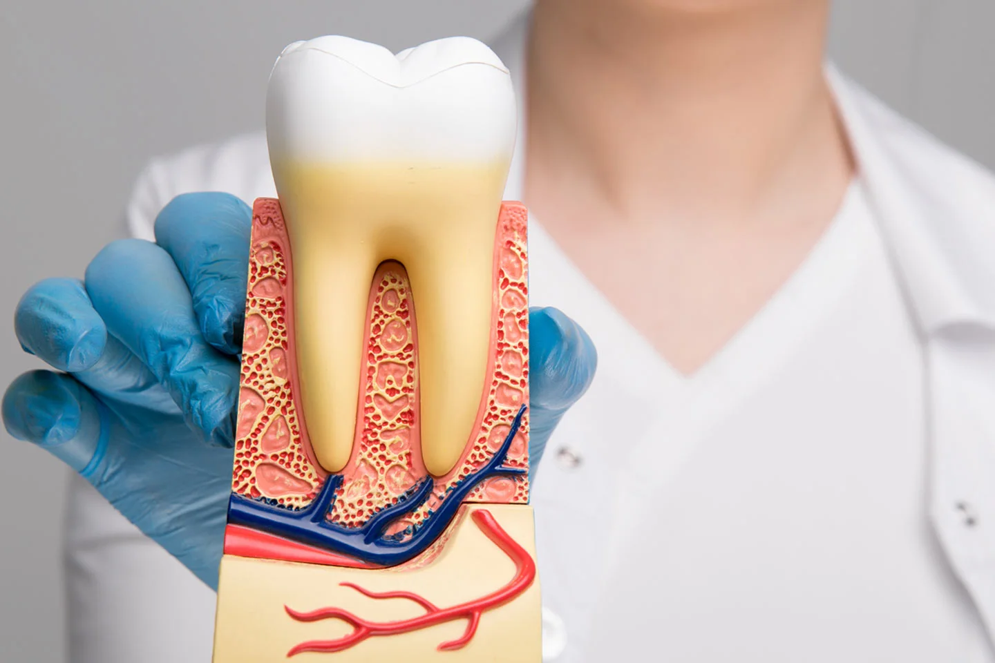 Root Canal Treatment for a Tooth Infection