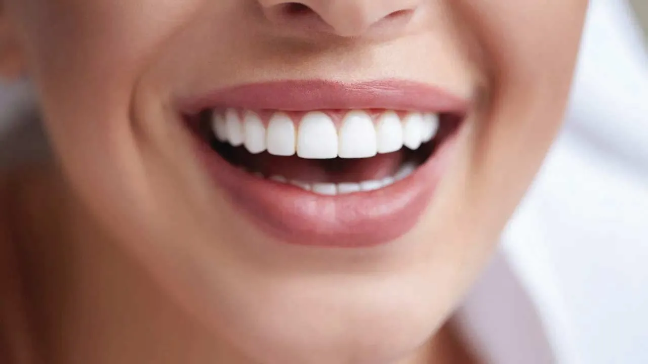 teeth alignment dental anatomy diagram