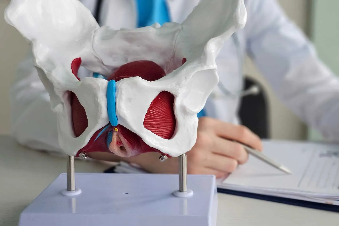 Pubic Symphysis Pain – What Is It and How Can You Get Relief?