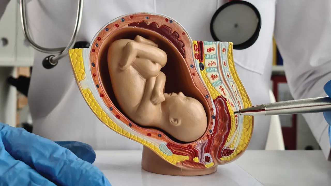 Obstetrician explaining placenta previa to a pregnant patient using an ultrasound image