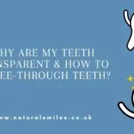 Why Are My Teeth Transparent & How to Fix See-through Teeth?