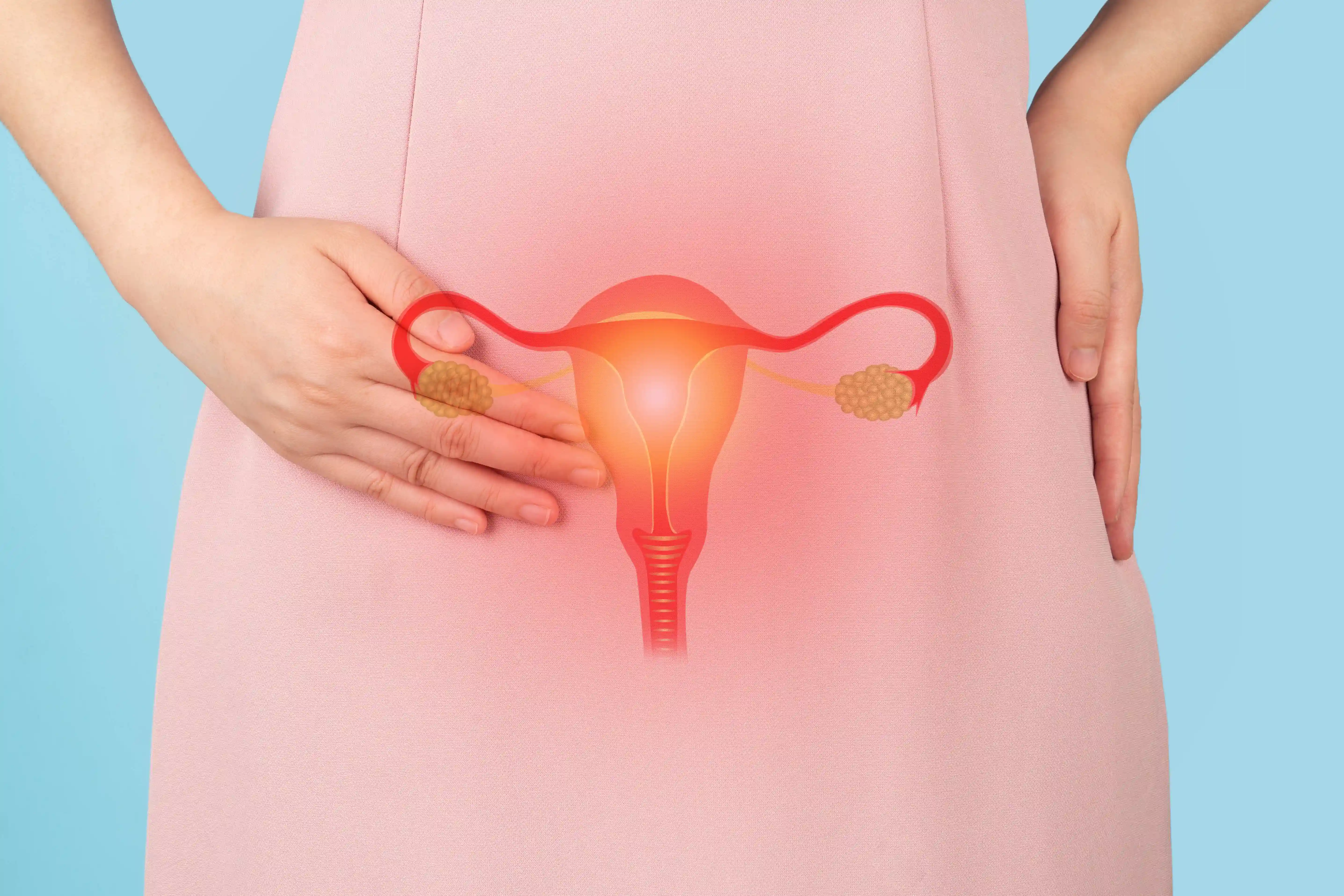 Thin Endometrium Care: Dr. Sunita