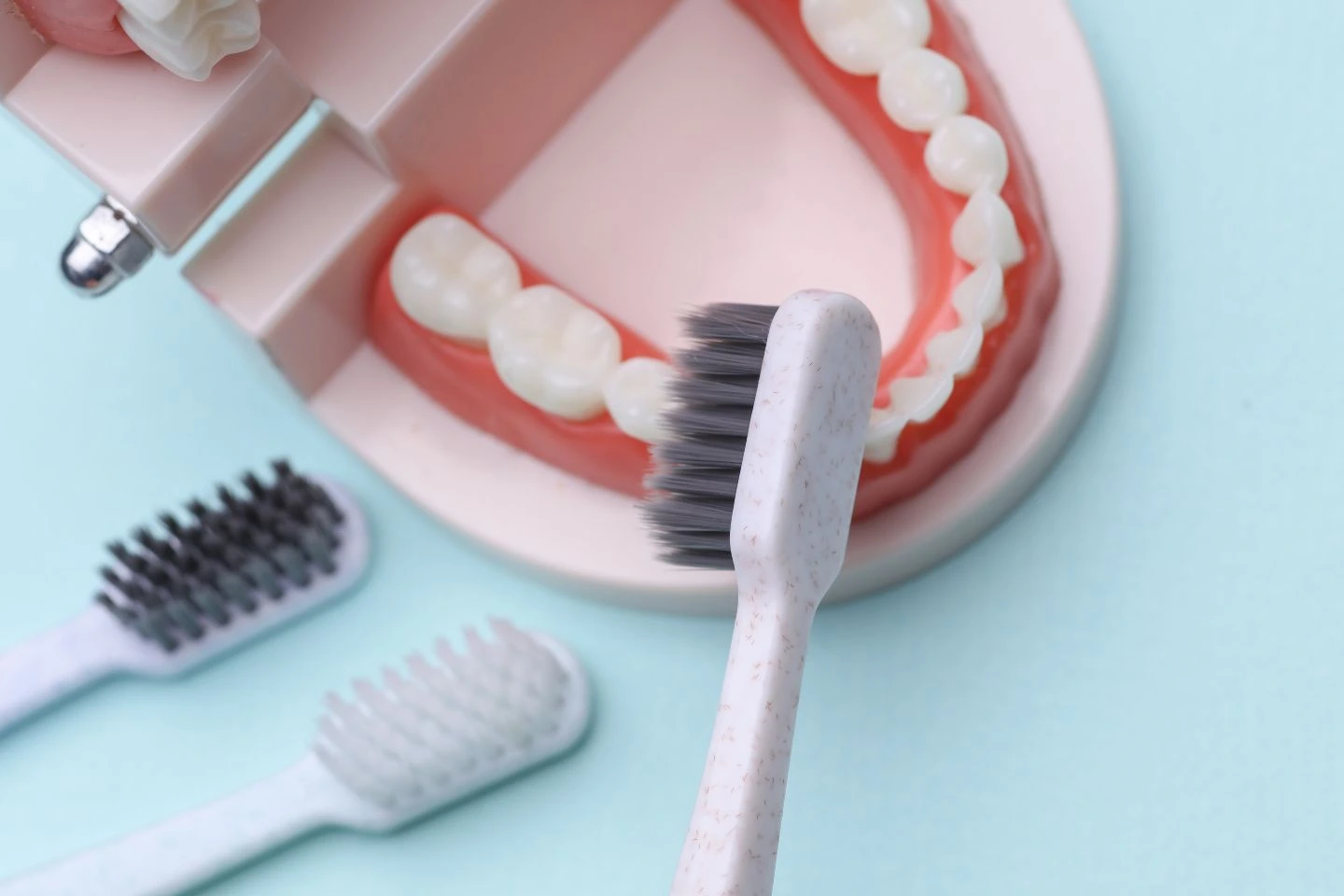 Dental Cleaning