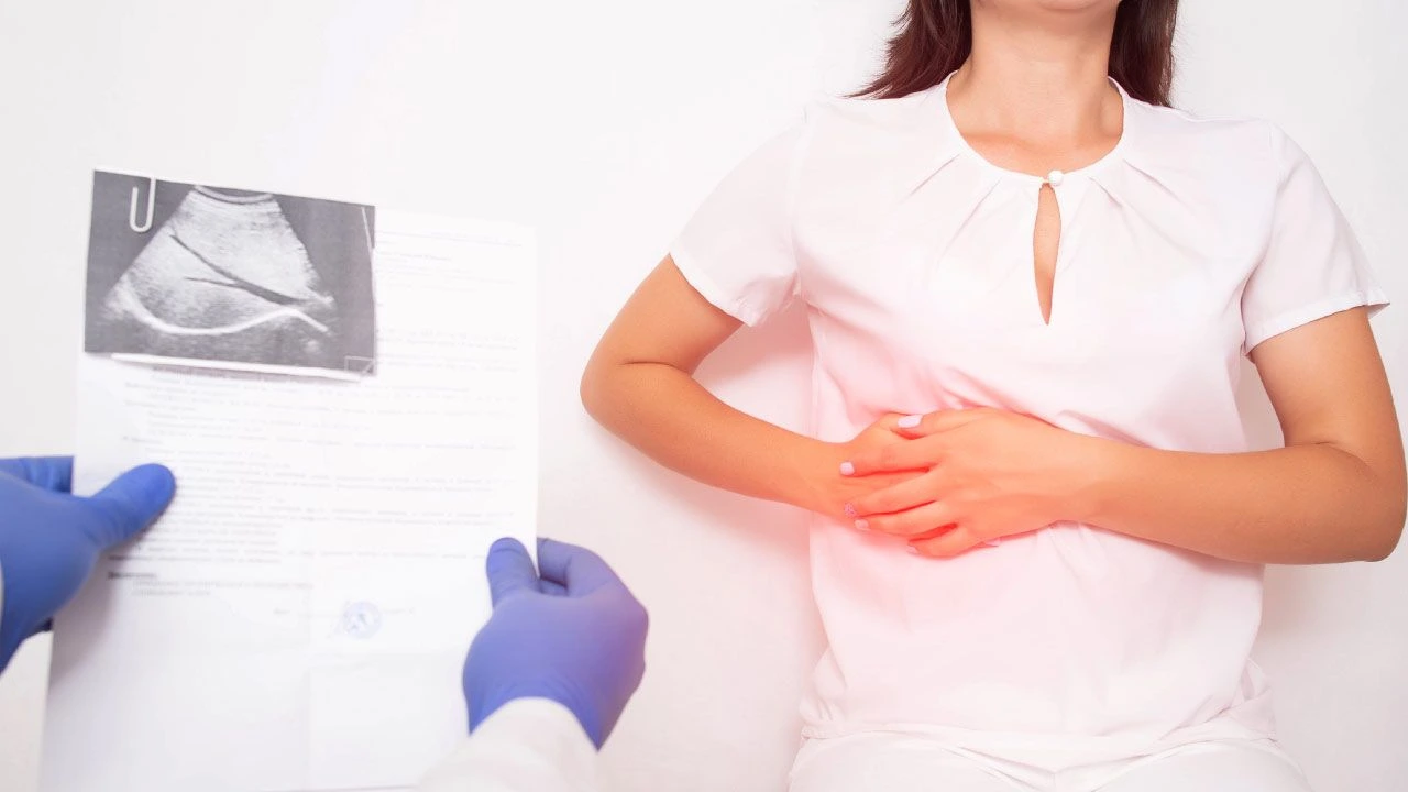 Gallbladder and bile duct with stone highlighted.