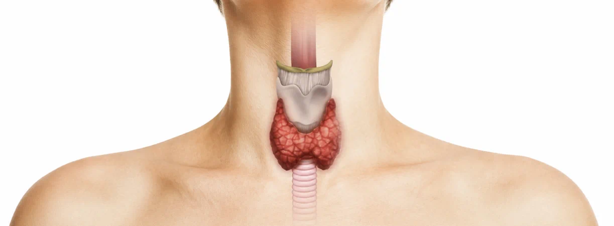 Thyroidectomy