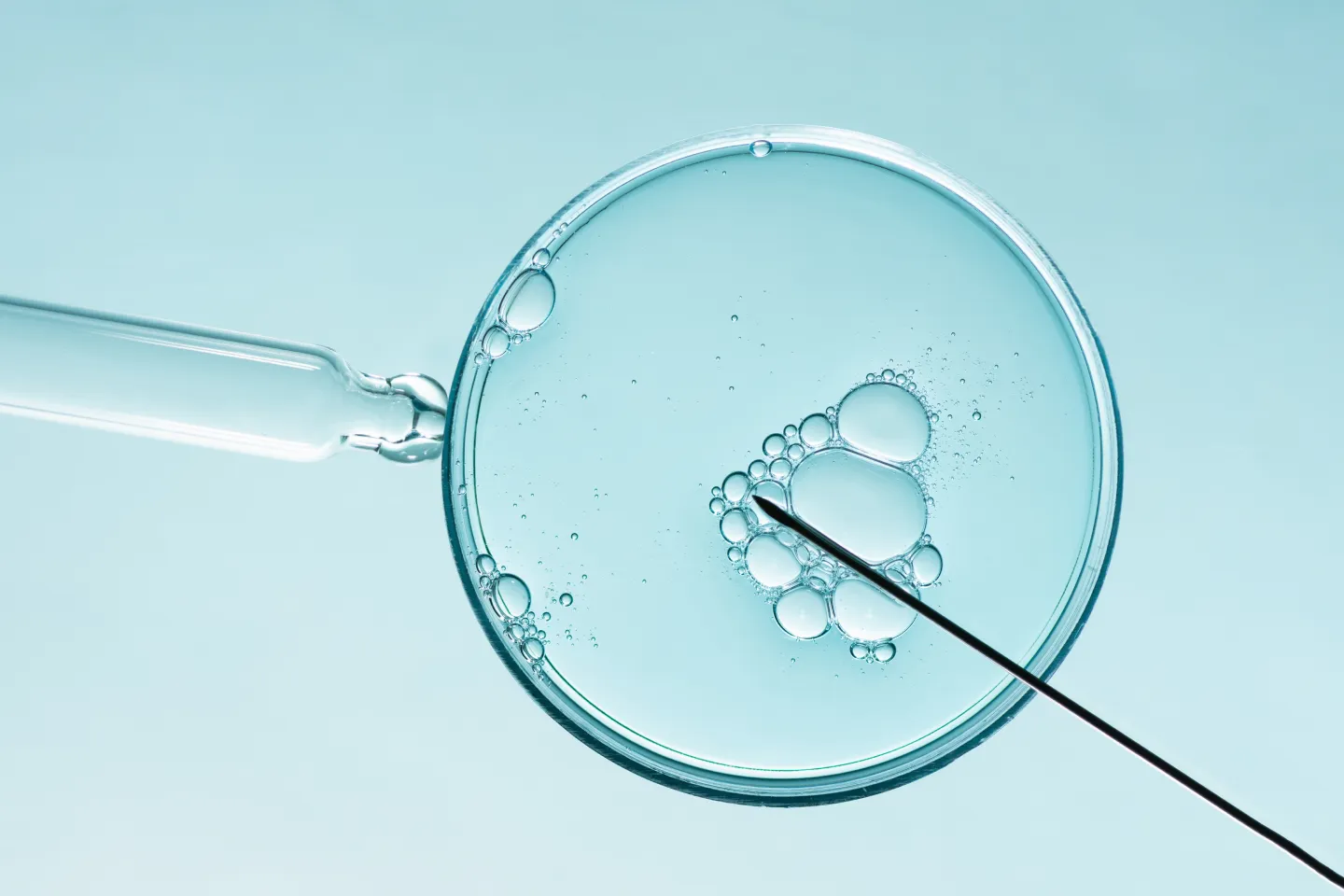 Unravelling the Mysteries: Little-known Answers to IVF FAQs