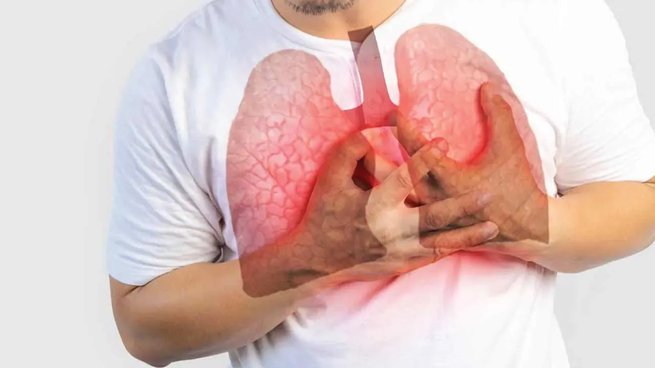 lungs air pollution medical illustration