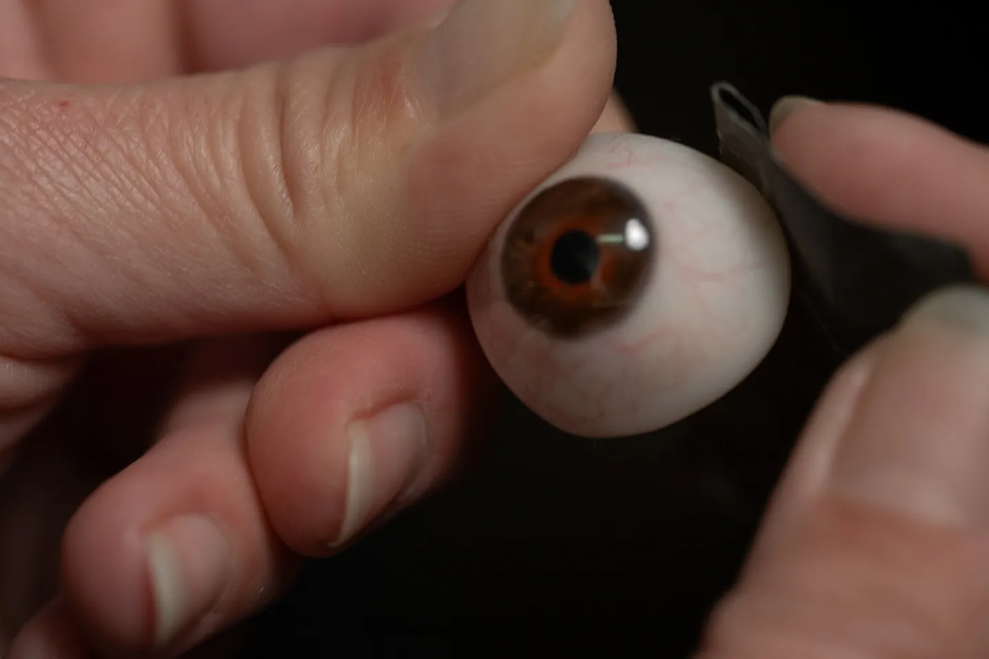 Ocular prosthesis and artificial eye
