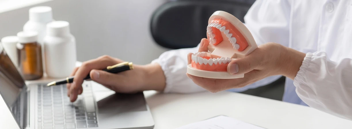 Dentist explaining oral health using a dental model