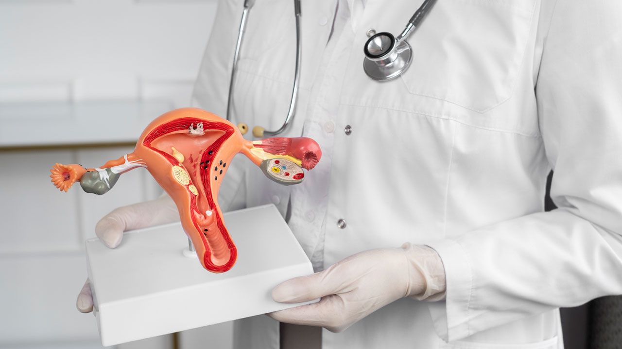 Laparoscopy & Hysteroscopy Surgeries 