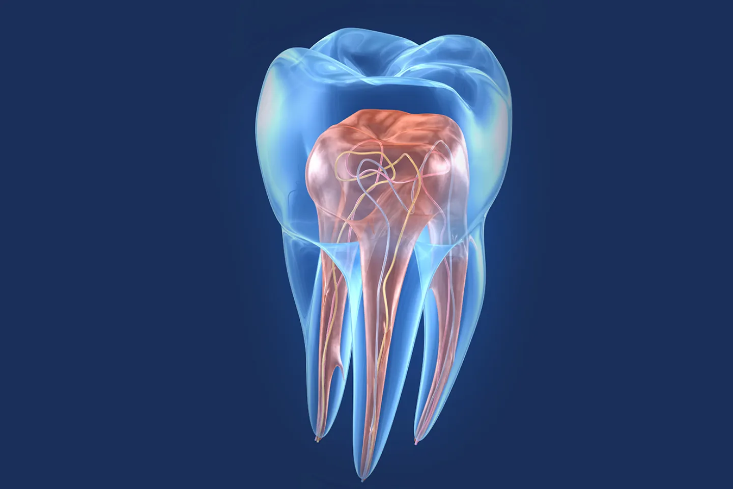 Missing Teeth Treatment Images