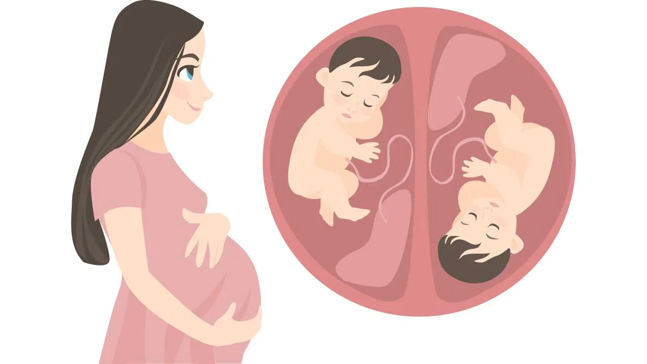 Pregnant woman expecting twins discussing prenatal care and delivery planning with her gynecologist