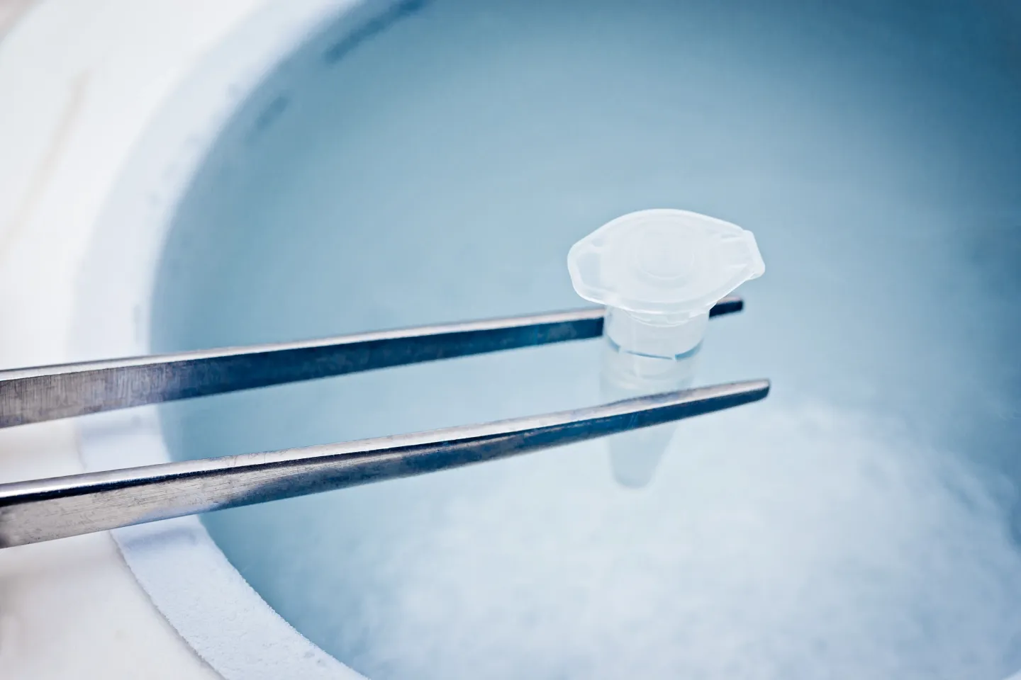 Woman consulting a fertility specialist about egg freezing and future family planning