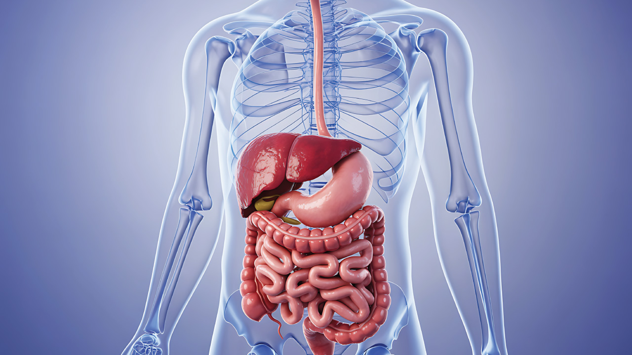 Doctor performing surveillance endoscopy for early cancer detection.