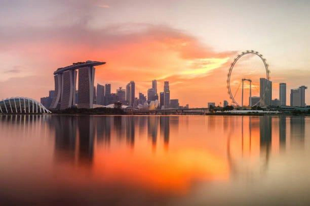 A Global Journey in Dental Care