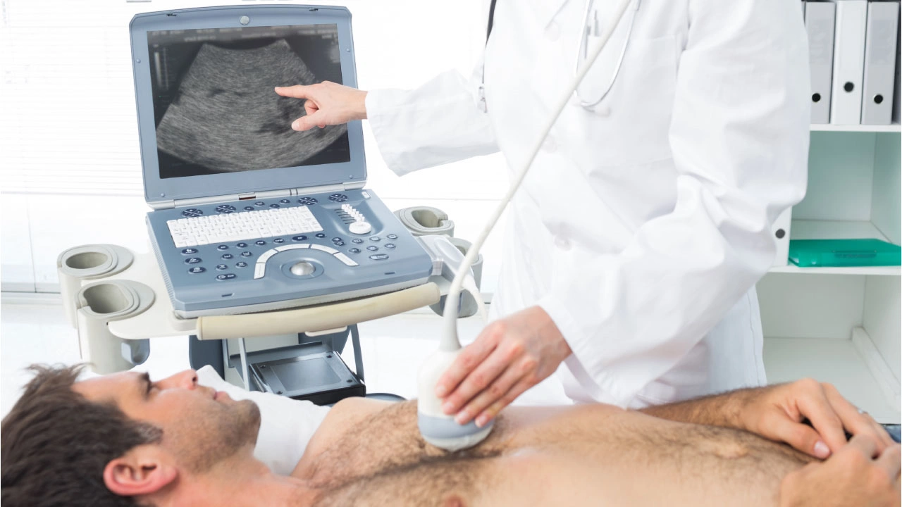 heart echo test illustration