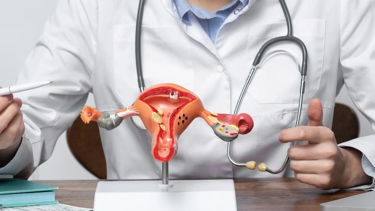 Gynecologist explaining blocked fallopian tubes and fertility treatment options to a couple