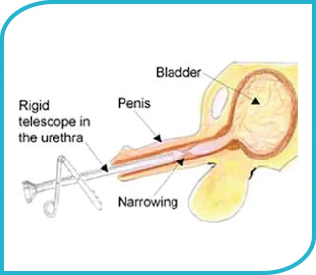 General Dentistry