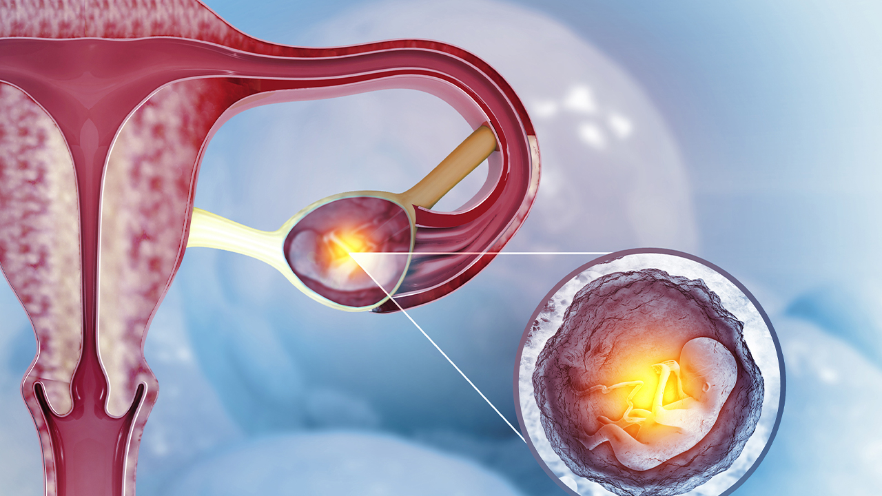 Emergency Gynecology Evaluation Scene