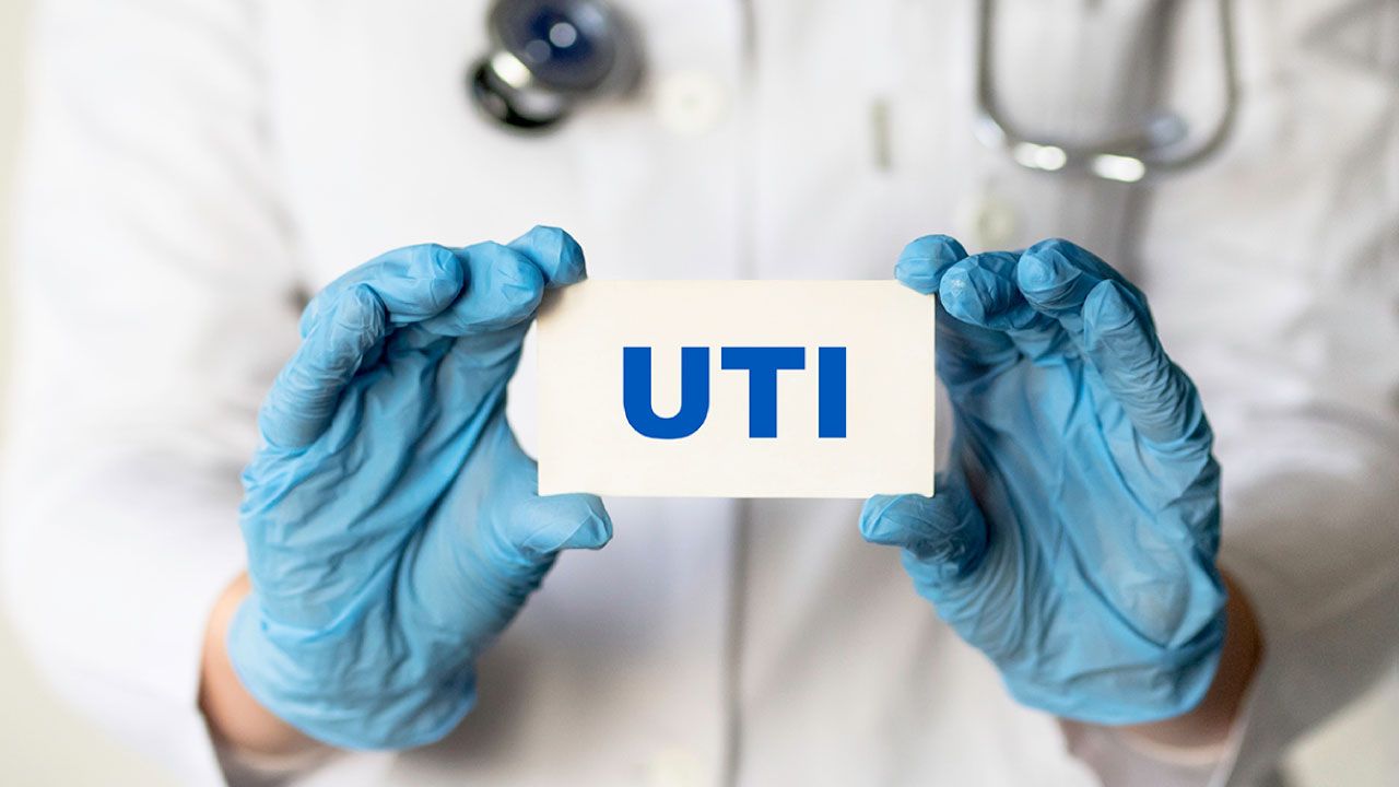 Male Urinary Tract Anatomy Illustration