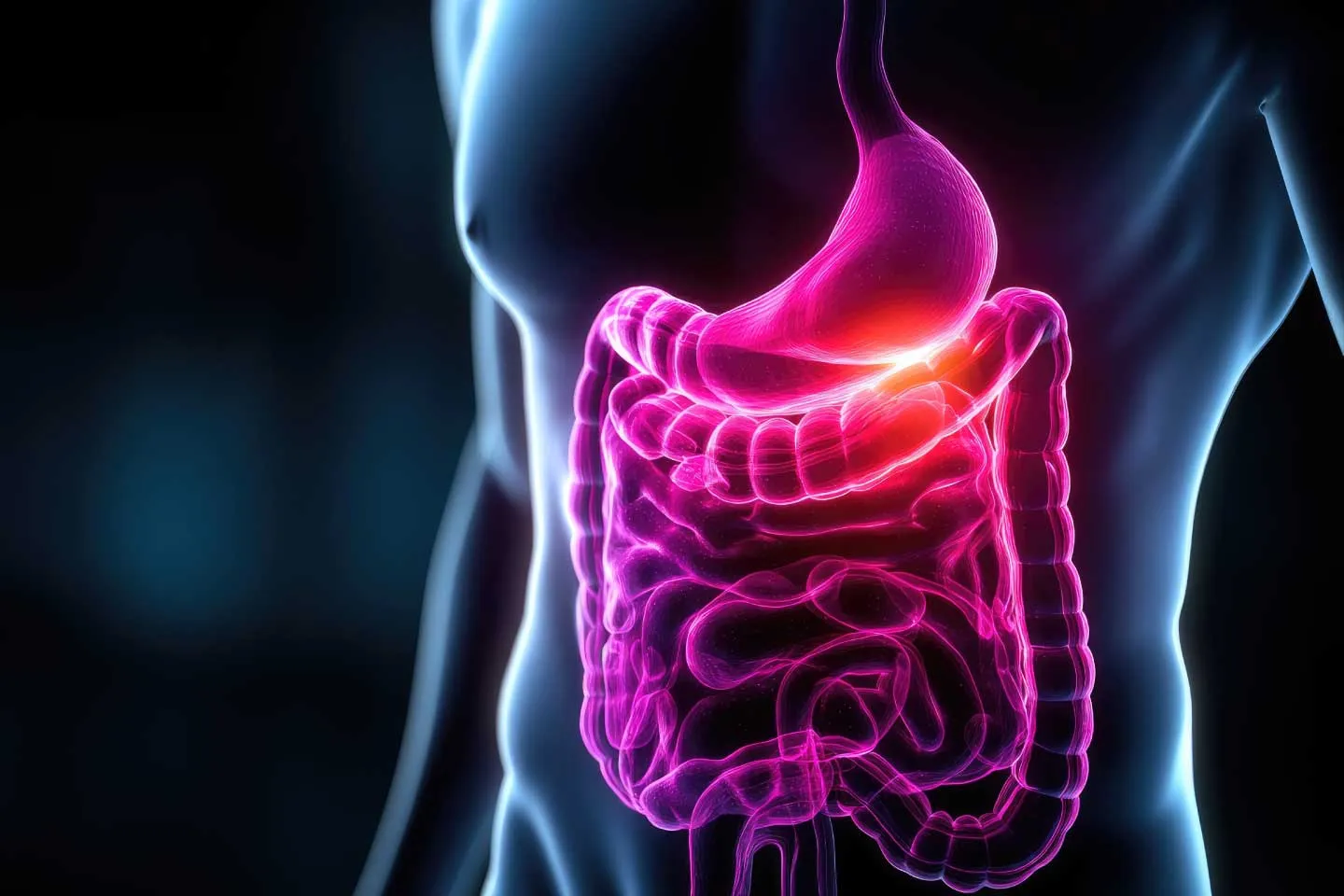 Small Intestine, Mesentery and Retroperitoneum