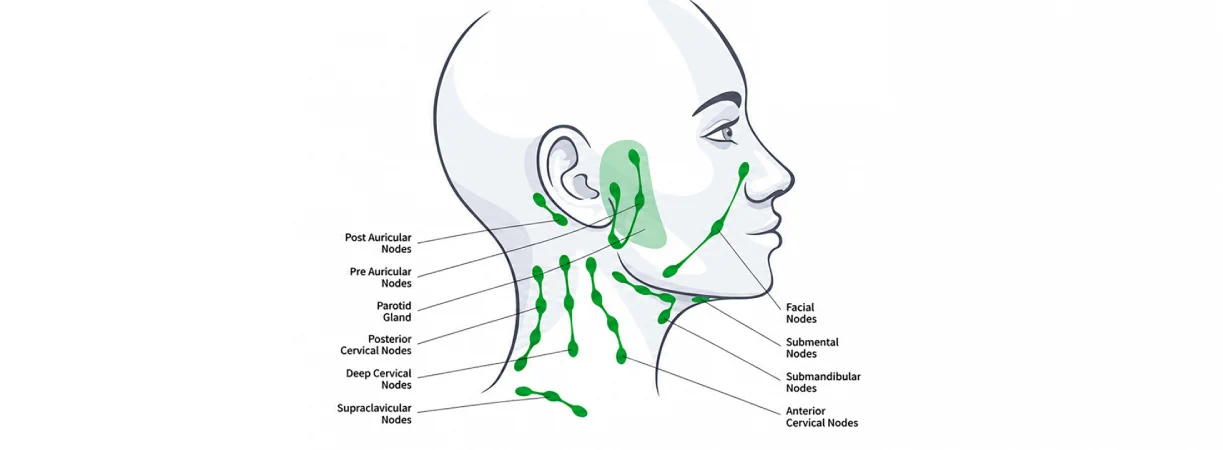 Neck Dissection