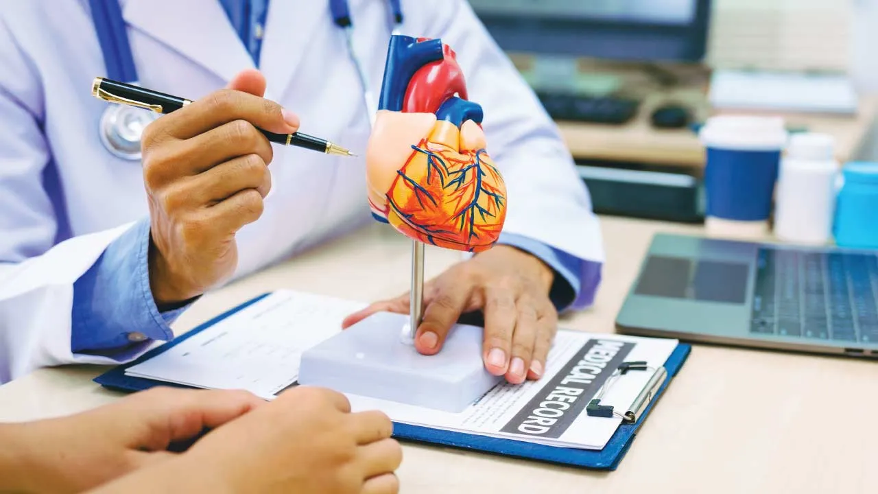 heart valve disease heart anatomy illustration