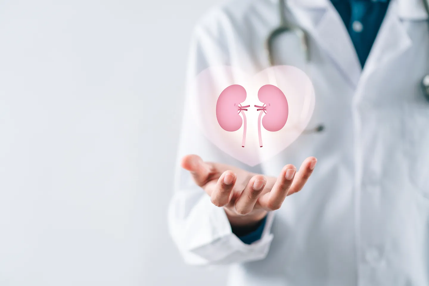 Nephrology