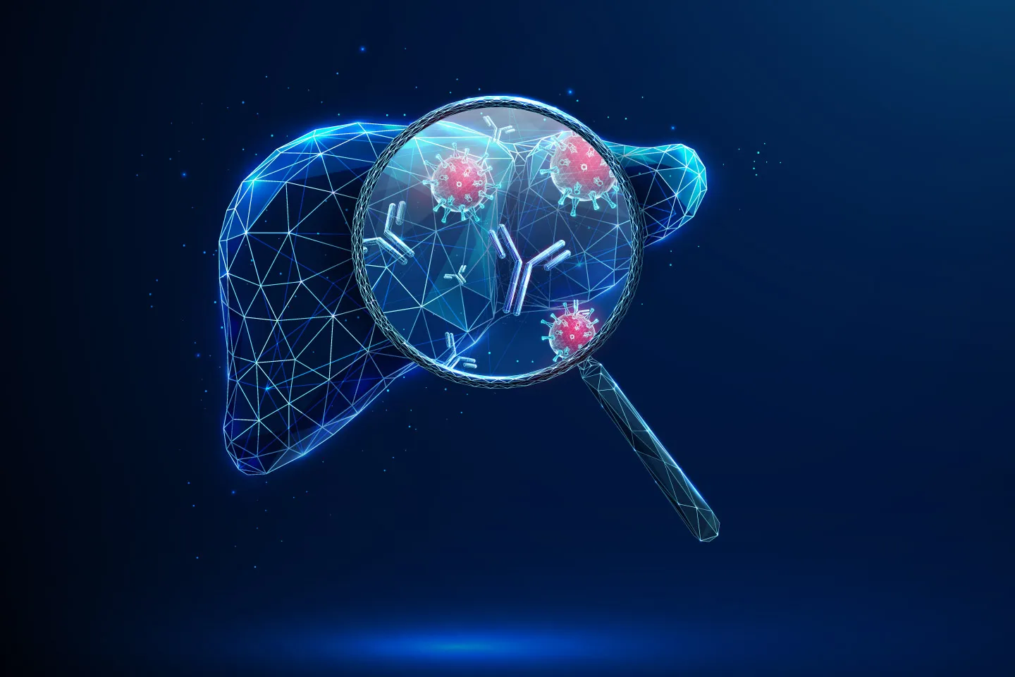 The Role of a Liver Biopsy in Diagnosing Tumors