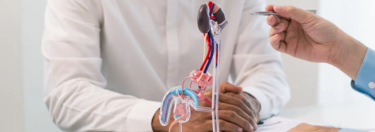 Prostate Cancer: Early Signs, Risk Factors, and When to Consult a Doctor